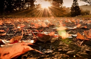 بدء فصل الخريف اعتباراً من "الأربعاء"