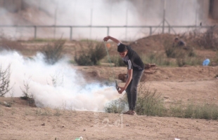 قوات الاحتلال تطلق "نيرانها وقنابلها الغازية" تجاه الأراضي الزراعية شرق قطاع غزة
