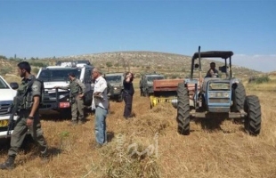 أريحا: جيش الاحتلال يستولي على جرار زراعي في الزبيدات