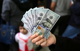 تفعيل رابط فحص الـ(100) دولار القطرية للأسر الفقيرة في غزة