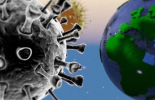 ماذا يحدث عندما تهاجم الفيروسات جسم الإنسان؟