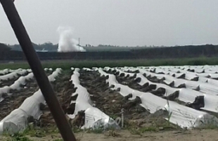اطلاق قنابل غاز تجاه الأراضي الزراعية شرق دير البلح