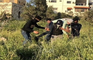 بيت لحم: إصابة شاب برصاص قوات الاحتلال واعتقاله في تقوع