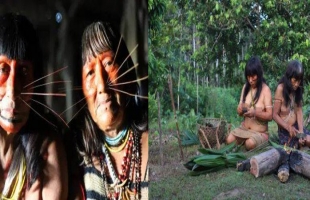 قبيلة تأكل الموتي في غابات الأمازون