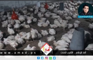 أسعار الدجاج والخضروات في أسواق غزة