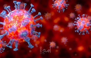 علماء روس يكتشفون أحياء دقيقة قادرة على قمع فيروس كورونا