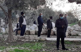 مستوطنون يقتحمون "الأقصى" ومخابرات الاحتلال تلاحق شبان في القدس