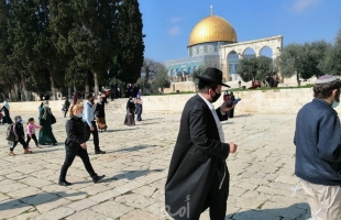 مركز الإنسان يدين سياسة سلطات الاحتلال التهويدية في القدس