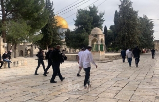 الإسلامية المسيحية تصدر تقريراً للانتهاكات الإسرائيلية بحق مدينة القدس خلال أغسطس