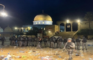 مواجهات القدس المحتلة: 205 إصابات في الأقصى وباب العامود والشيخ جراح ... فيديو - صور