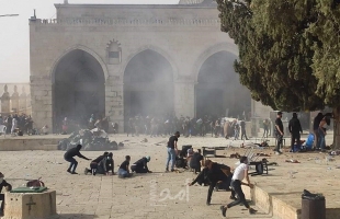 إصابات بالاختناق جراء  إطلاق قوات الاحتلال قنابل الغاز داخل مصلى في المسجد الأقصى - فيديو