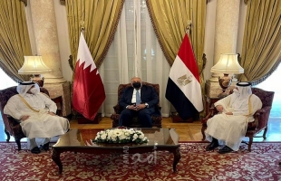 أمير قطر يتسلّم دعوة لزياة مصر من السيسي