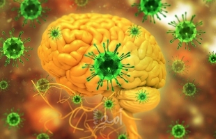 تقارير: "فيروس نادر" يثير الرعب مع ارتفاع إصابات أمراض الدماغ القاتلة في الولايات المتحدة
