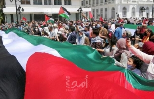 تظاهرتان في أميركا تطالبان بربط مساعدات إسرائيل باحترام حقوق الفلسطينيين
