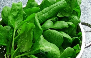 6 أطعمة خضراء مفيدة لـلصحة