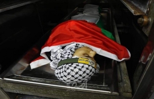 الخارجية الفلسطينية تدين "مجزرة جنين" وتؤكد متابعتها مع الجنائية الدولية
