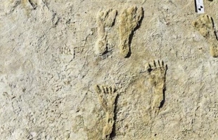 آثار أقدام  تكشف مفاجآت عن الأمريكتين