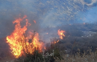 إخلاء منازل وأضرار كبيرة بسبب الحرائق المندلعة في إسرائيل- صور