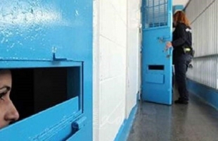 هيئة الأسرى: (28) أسيرة في سجن الدامون يعشن "ظروف حياتية صعبة"