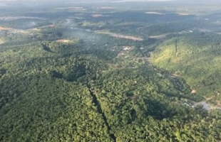 عمليات إزالة غابات الأمازون تسجل رقما قياسيا