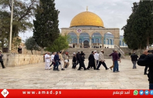القدس: عشرات المستوطنين الإرهابيين يقتحمون "الأقصى"- فيديو