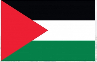 هاشتاج فلسطيني يحتل مواقع التواصل رداً على مسيرة أعلام الفاشيين اليهود