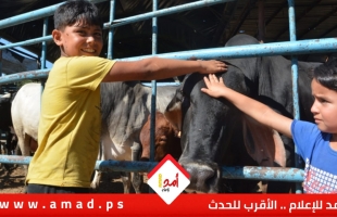 بالفيديو: عيد الأضحى في  قرية جورة الشمعة... فرحة مثقلة بغلاء الأسعار وضعف الإقبال