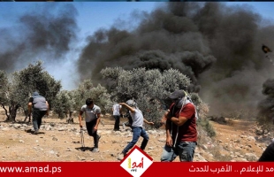 إصابات بالاختناق بعد اقتحام قوات الاحتلال بلدة بيتا