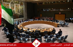 الإمارات تدعو مجلس الأمن لاعتماد قرار عاجل بوقف إطلاق النار في غزة: الوضع كارثي