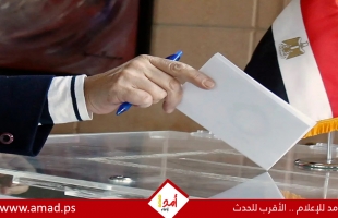 عضو لجنة الدستور يحدد موعد الانتخابات الرئاسية المصرية