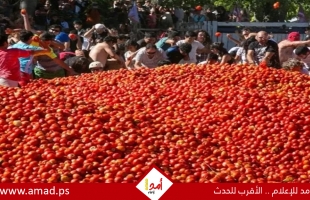 أزمة طماطم تهدد إسبانيا بسبب الجفاف مع نقص المحاصيل 70%
