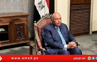 وزير الخارجية المصرية: يجب حلحلة الجمود الذي ينتاب عملية السلام