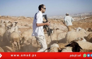 رام الله: مستوطنون إرهابيون يهاجمون المزارعين في "أم صفا"