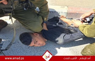 محدث- جيش الاحتلال يعتقل شاب فلسطيني بزعم تنفيذ عملية دهس في بنابلس- فيديو