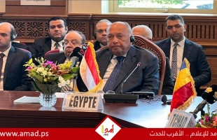 وزير الخارجية المصري يدعو لوضح حد للحرب في السودان