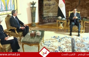 الرئيس المصري يلتقي بلينكن لبحث الأوضاع في المنطقة