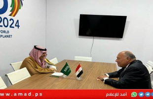 خلال لقاء شكري وبن فرحان..رفض سعودي مصري قاطع لأي عملية إسرائيلية برفح
