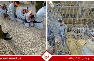 هيئة الأسرى: واقع كارثي يعيشه المعتقلون داخل سجون دولة الاحتلال