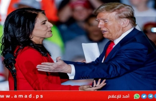 غابارد تكشف تلفيق قضية التدخل الروسي في انتخابات 2016: مكيدة صنعها أوباما