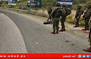 جيش الاحتلال يعدم فتاة فلسطينية قرب سلفيت- فيديو