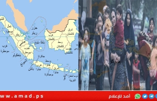 إندونيسيا تجهز جزيرة غير مأهولة لاستقبال جرحى غزة