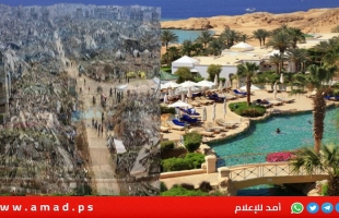 اليوم الثالث..النونو: تقدم إيجابي في مفاوضات شرم الشيخ وتبادل كشوفات الأسرى