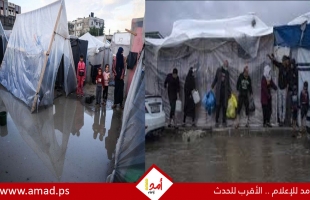 غزة: إصابات بين النازحين في تل الهوى.. وعشرة أسرى محررين يصلون بحالة صحية صعبة