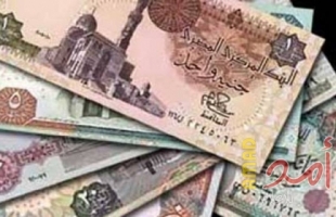 المصريون يدخرون مليارات الجنيهات في البنوك خلال 3 أيام
