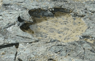 اكتشاف آثار أقدام لبشر وحيوانات مفترسة تعود لأكثر من 120 ألف سنة بالسعودية