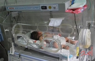 إحصائية: غزة تُسجل أكثر من 25 ألف مولودٍ جديد خلال النصف الأول لـ2021