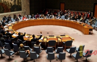 أمريكا وروسيا ترفضان مشروع قرار في مجلس الأمن لإدانة العدوان التركي على سوريا