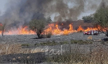 اندلاع حريق في المجلس الإقليمي "سدوت هنيغف" بفعل بالون حارق أطلق من غزة