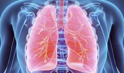 5 علاجات منزلية للوقاية من التهابات الجهاز التنفسي