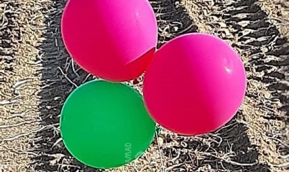 إعلام عبري: العثور على بالونات تحمل أجساماً غريبة في بلدات مقابل غزة